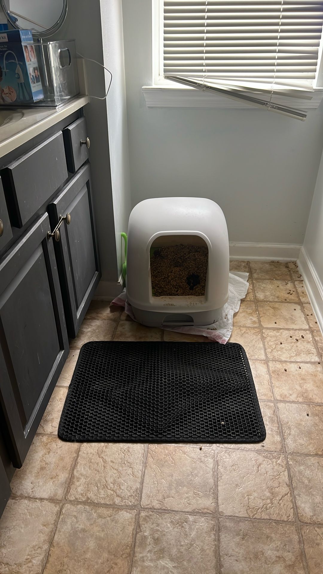 Cat Litter Box
