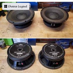 10" Eminence Pro Voice Speakers