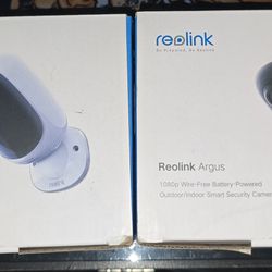 Reolink Cameras 