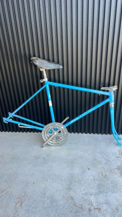 Schwinn Continental vintage