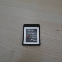 256 gb Sony XQD Memory Card (pre cf express)