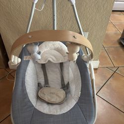 Ingenuity Baby Swing 