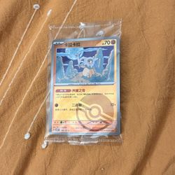 Cubone Sealed Card (CN)