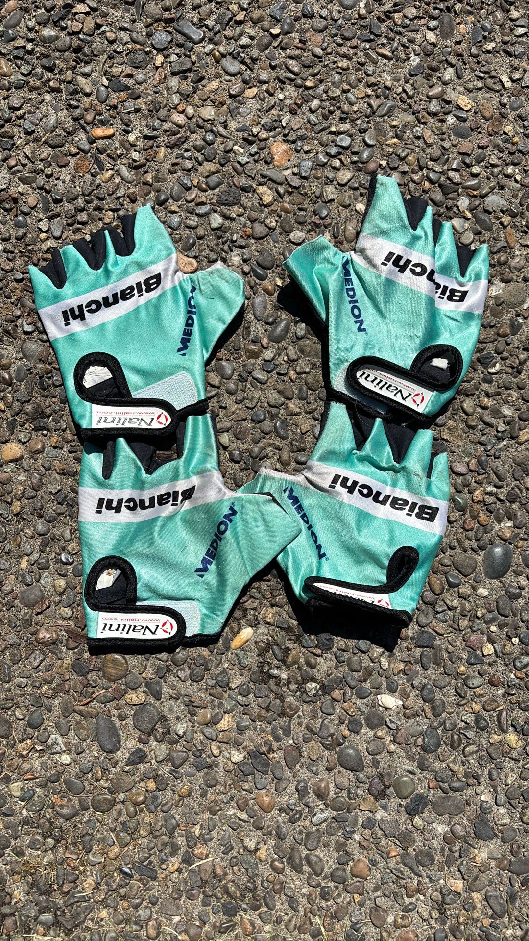 Bianchi Bike Glove-two Pair Size Medium 