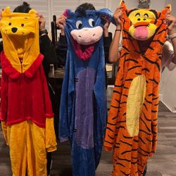 Winnie The Pooh, Eeyore, Piglet, And Tigger Halloween Costumes