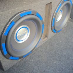 Dual 12in Gothic Subwoofer