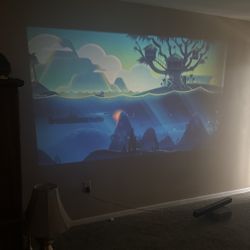 VANKYO Projector 70”-80”  Inches 
