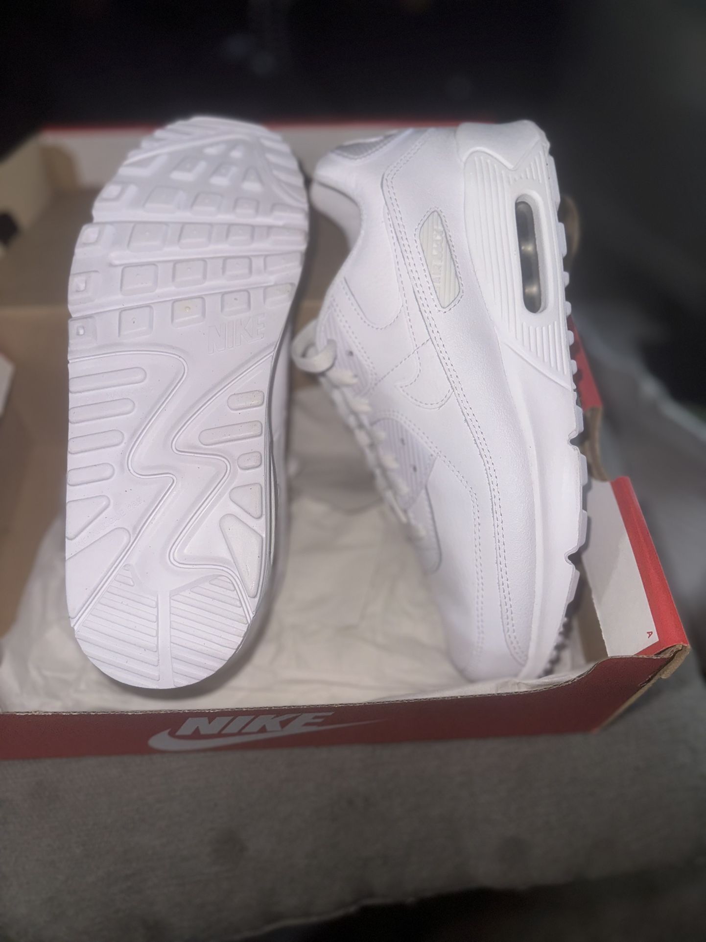 Brand New Big Kids Nike 90 Air Max