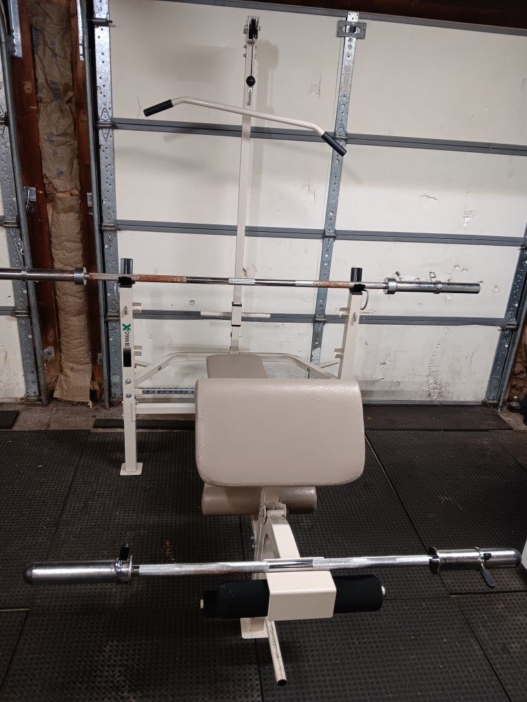 Weight Bench, Bar, Curl Bar