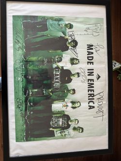 Emerica Team Signed Poster