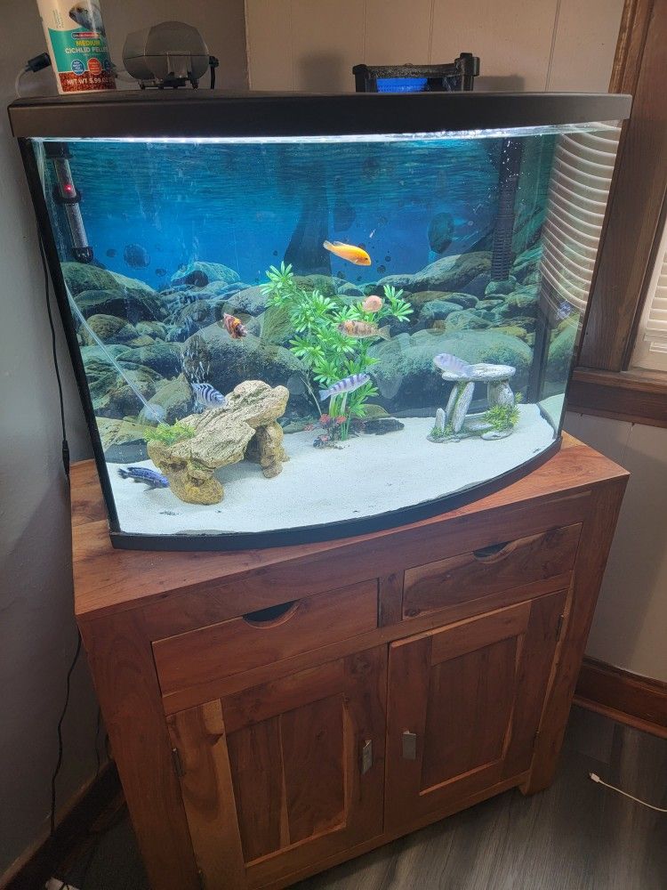 Fish Tank