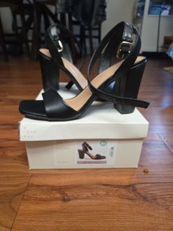 Shoes Black Heels