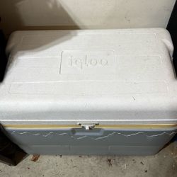 Igloo Cooler