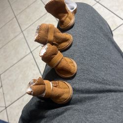 Dog Shoes