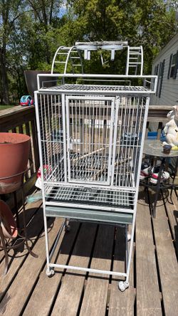 Birds cages
