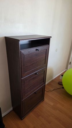 Standing Shoe Cubby