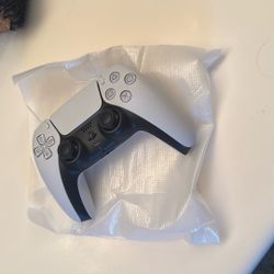 PlayStation Controller