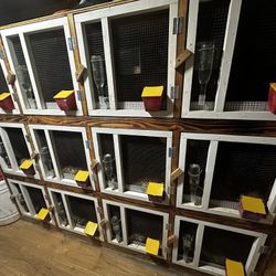 Gratis Regalados Y Baratos 