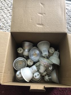 Bulbs