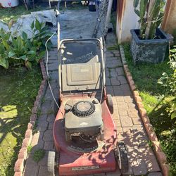 Cortadora de césped 👍