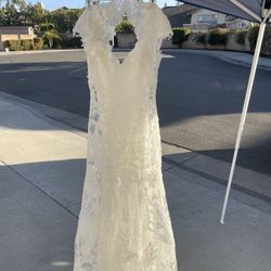 Lace Wedding Dress & Vail