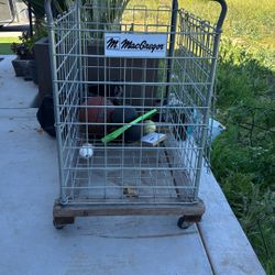 Macgregor Ball Storage 