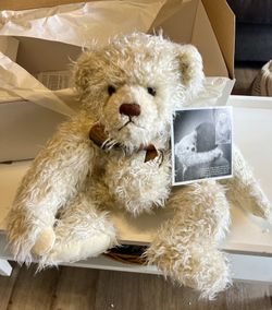 Ashton Drake Gallery Of Teddy Bears “Perfect Companion”