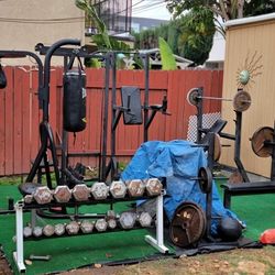 Incline, Flat Bench W Squat Rack, Dip Pull-up Station, Schwin Stationary Bike, Dumbell Set W Rack, Weight Rack, Calve Sit  Machine, Pull-down Station