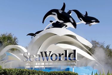 4 e tickets to sea world