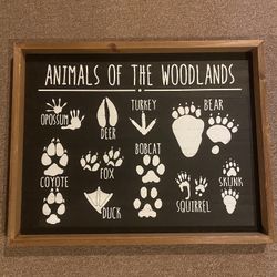 Animals Footprint Picture