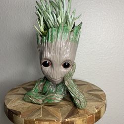 Baby Groot Succulent 