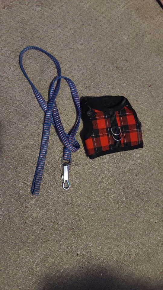 Dog Harness And leash