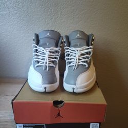 Jordan 12 Stealth