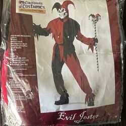Evil Jester Halloween Costume 