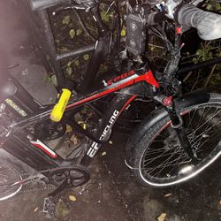 E Cycling 