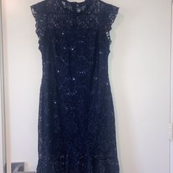 Women’s Preowned petite dress size 10p Navy Blue Lace Sequins dress