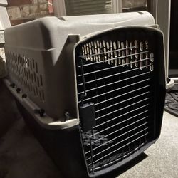Dog Carrier - Great Choice Brand