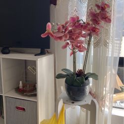 Flower Plant Artificial