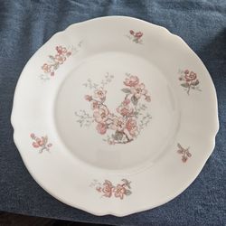 Vintage Arcopal Florentine Dinner Plates