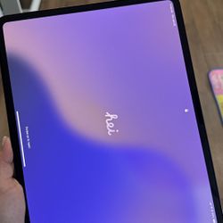 iPad Pro 13 Inch M4