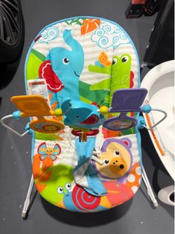 Fisher price bouncer