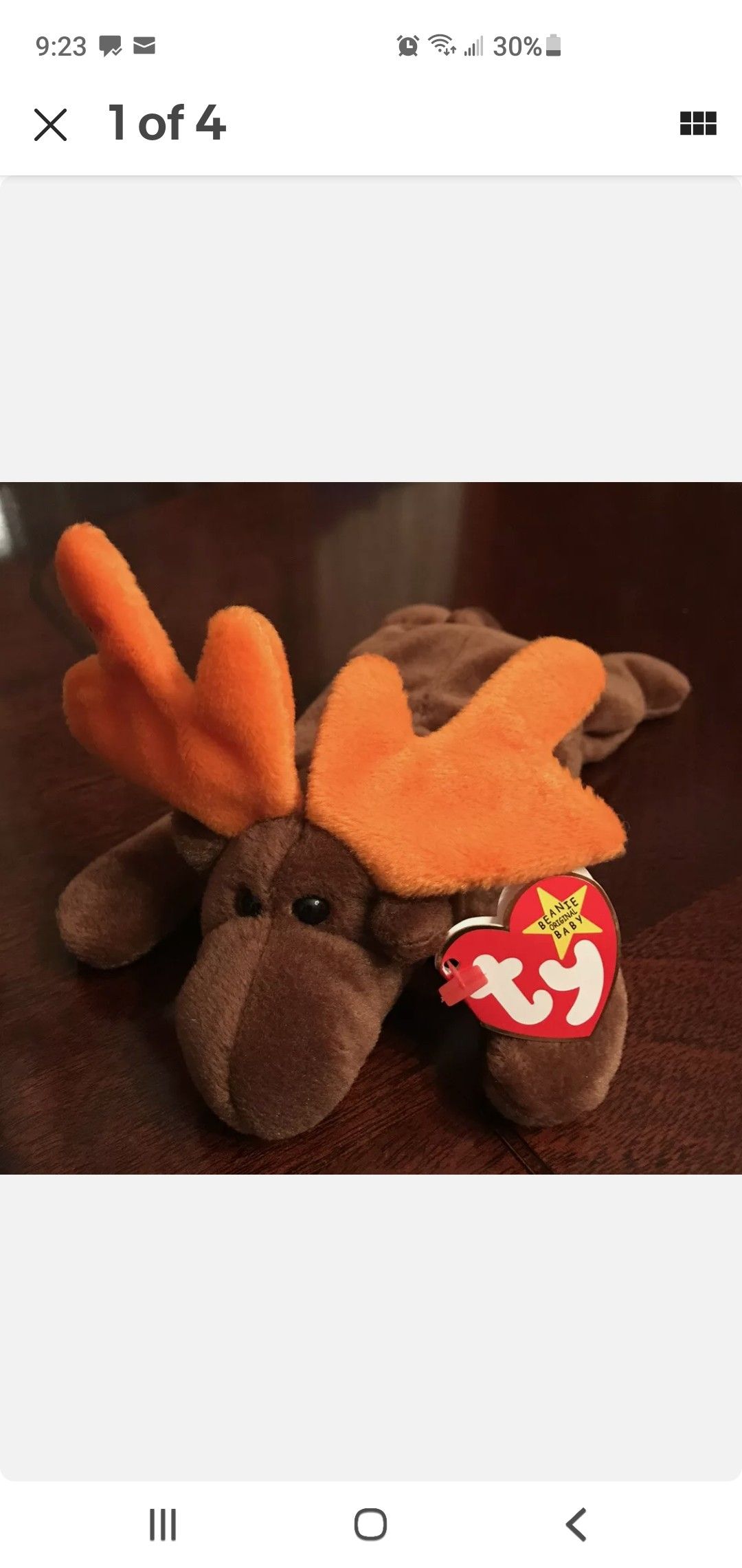 Chocolate moose t y baby