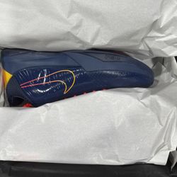 Nike Caitlin Clark x Zoom Kobe 5 Protro Men's size 13 