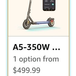 Electric Scooter