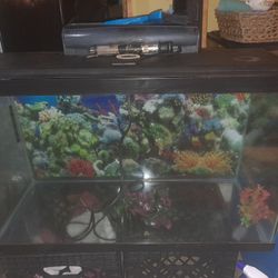 30 Gallon Aquarium