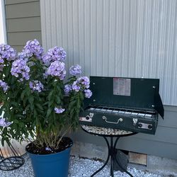 Coleman Three Burner