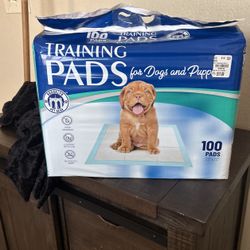 Training Pads For Puppies And Dogs