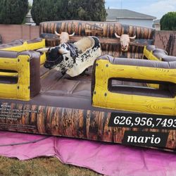 Mechanical Bull /// Toro Mecanico