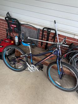 Giant Liv kids bike