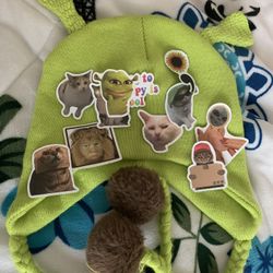 Shrek Beanie + Stickers